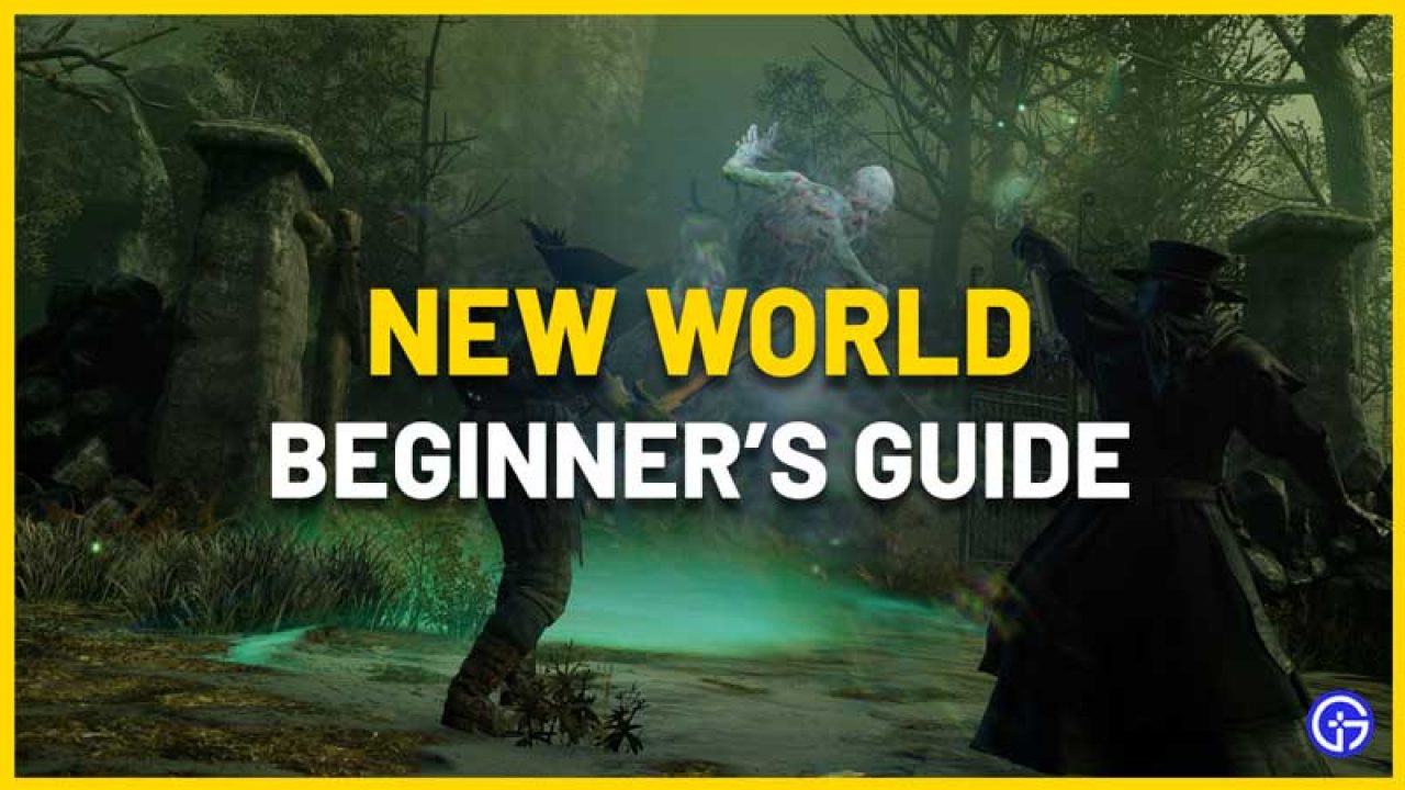 New World Beginner’s Guide - buynewworldcoins.com